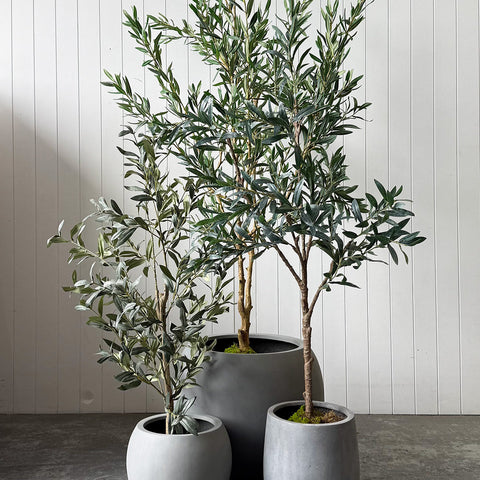 Artificial Plants for Sale - Evergreen Walls