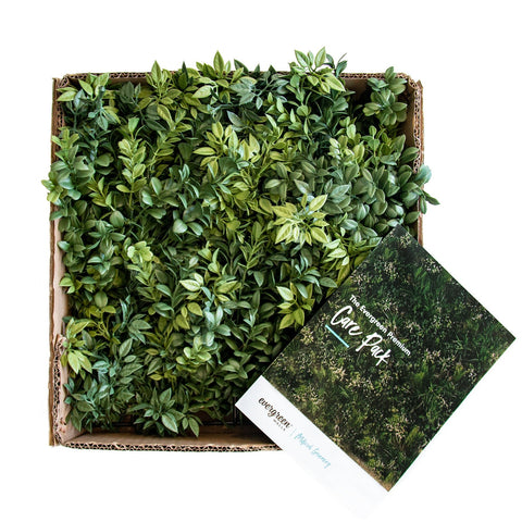 Samples - Evergreen Walls