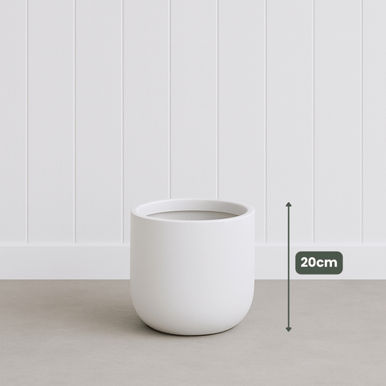 Lightweight Classic Pot | White | Evergreen Walls
