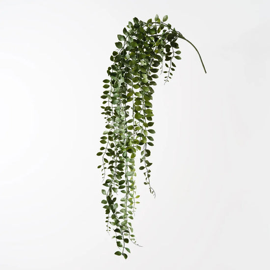 Fern Button Hanging Bush | Evergreen Walls