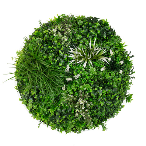 Spring Disc