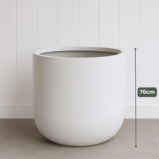 Lightweight Classic Pot | White | Evergreen Walls