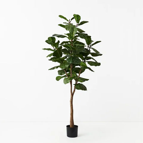 Artificial Fiddle Leaf Trees