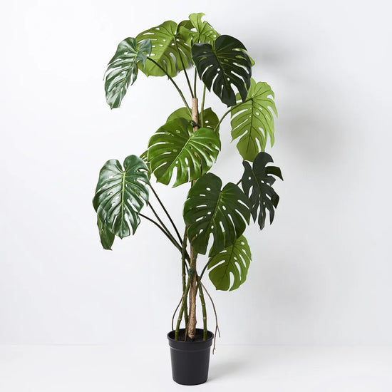 Full view of 150cm Artificial Monstera Vine Plant in black pot with wooden stake, perfect for enhancing indoor spaces with low-maintenance greenery.