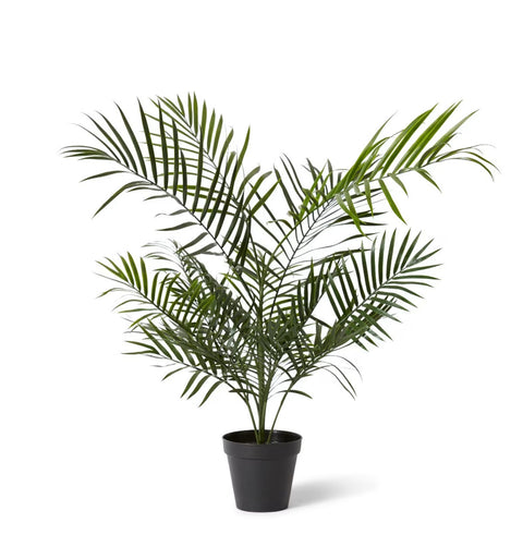 Areca UV Palm Tree