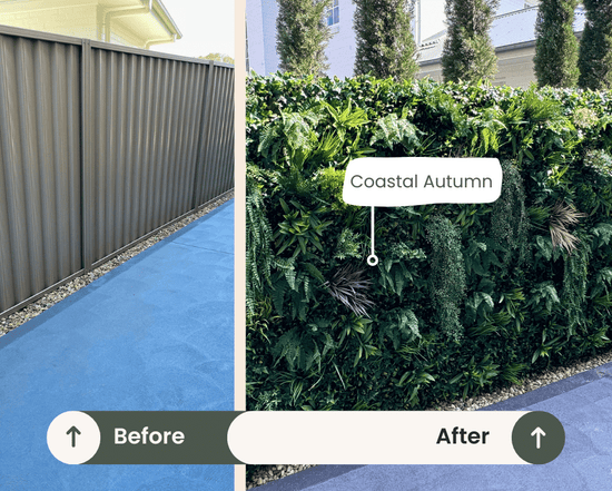 Evergreen Coastal | Evergreen Walls