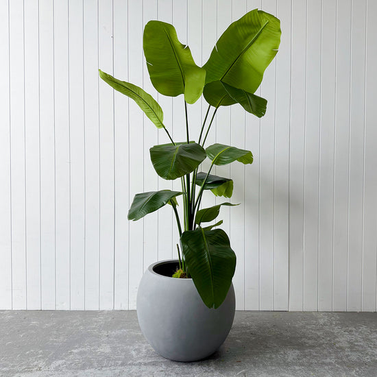Artificial Bird of Paradise | Evergreen Walls