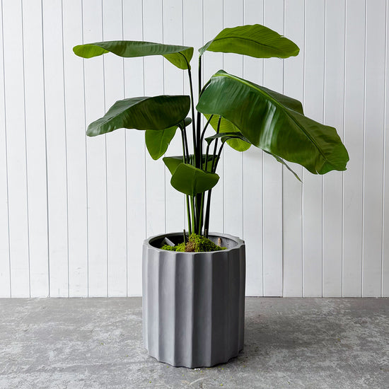 Artificial Bird of Paradise | Evergreen Walls