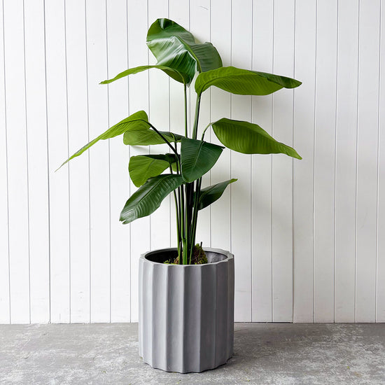 Artificial Bird of Paradise | Evergreen Walls