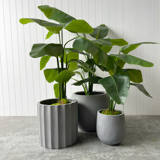 Artificial Bird of Paradise | Evergreen Walls