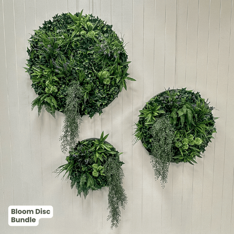 Evergreen Signature Disc Collection | Evergreen Walls