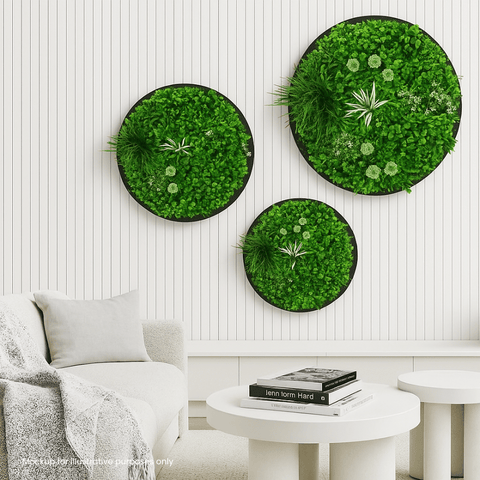 Triple Disc Bundle - 3 x Blossom (S,M,L)