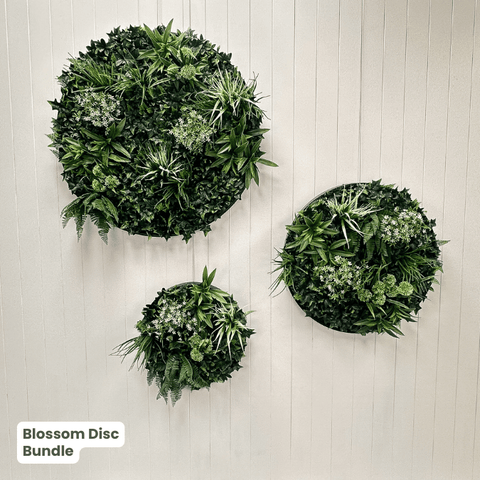 Evergreen Signature Disc Collection | Evergreen Walls
