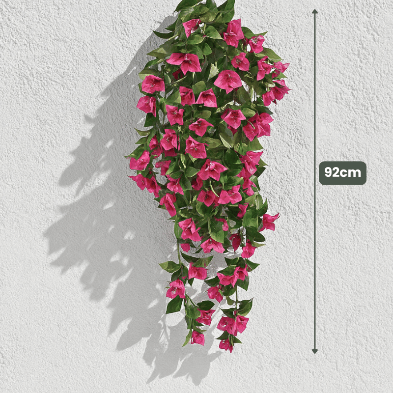 Bougainvillea Hanging Bush UV