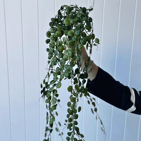 Fern Button Hanging Bush 86cmL