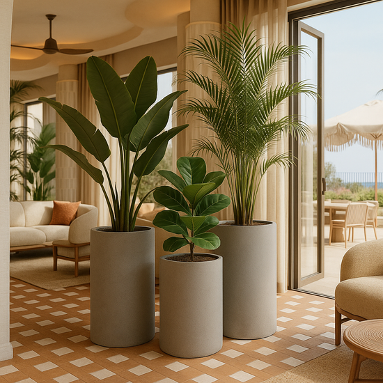 Lightweight Tall Cylinder Pot | Black | Evergreen Walls