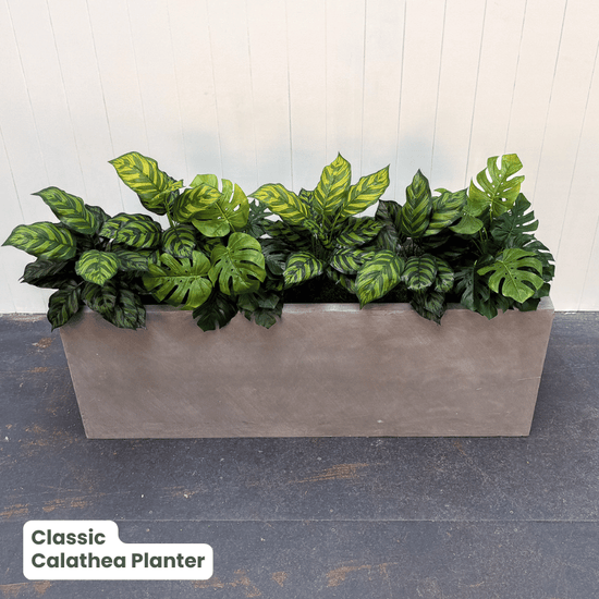 Classic Planter Bundles | Evergreen Walls
