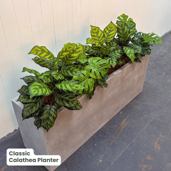Classic Planter Bundles | Evergreen Walls