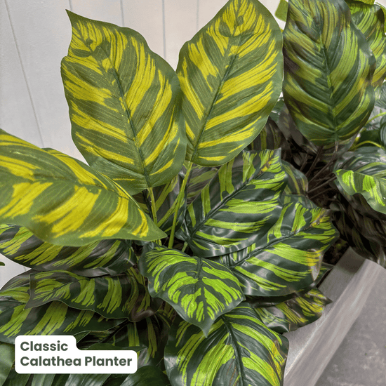 Classic Planter Bundles | Evergreen Walls