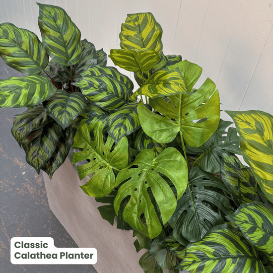 Classic Planter Bundles | Evergreen Walls