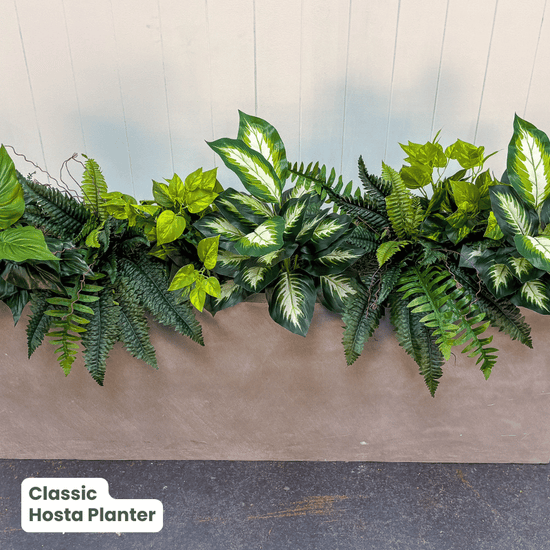 Classic Planter Bundles | Evergreen Walls