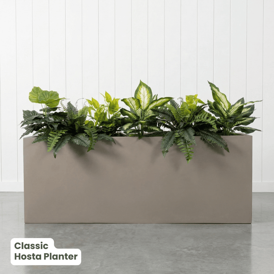 Classic Planter Bundles | Evergreen Walls