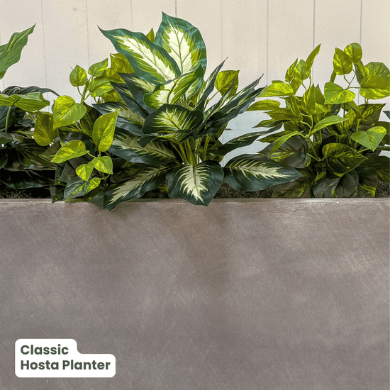 Classic Planter Bundles | Evergreen Walls