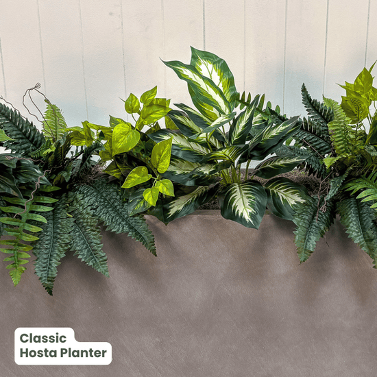 Classic Planter Bundles | Evergreen Walls