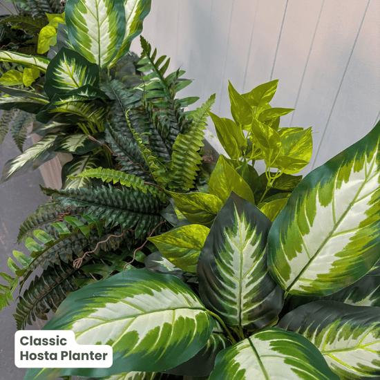 Classic Planter Bundles | Evergreen Walls