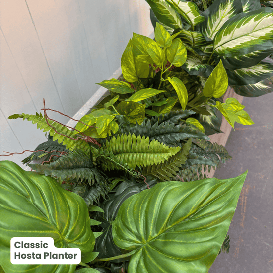 Classic Planter Bundles | Evergreen Walls
