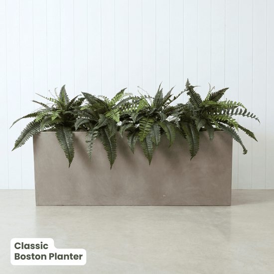 Classic Planter Bundles | Evergreen Walls