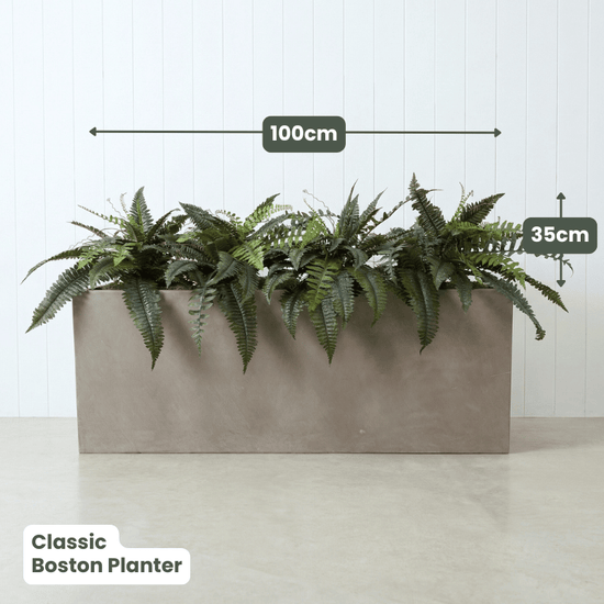 Classic Planter Bundles | Evergreen Walls