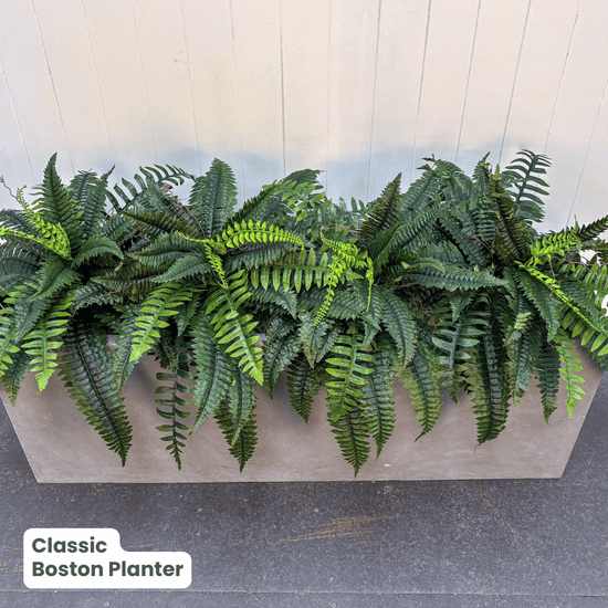 Classic Planter Bundles | Evergreen Walls