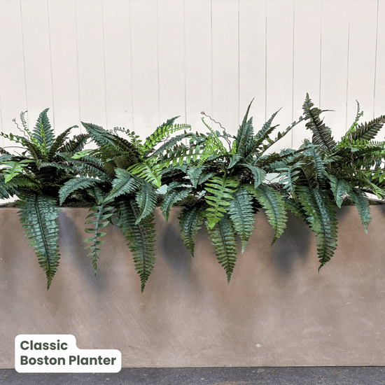 Classic Planter Bundles | Evergreen Walls