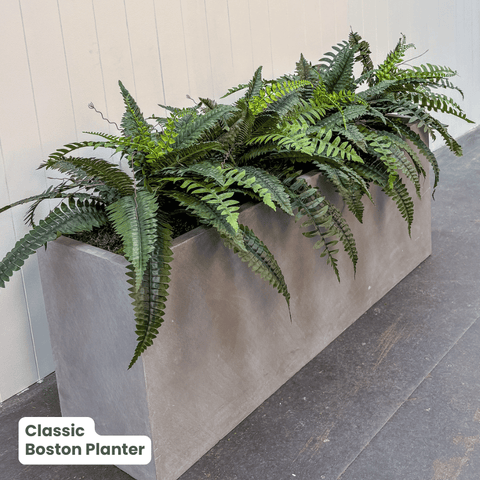 Classic Planter Bundles