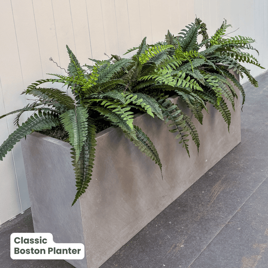 Classic Planter Bundles | Evergreen Walls