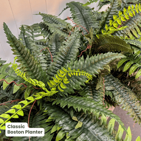 Classic Planter Bundles | Evergreen Walls