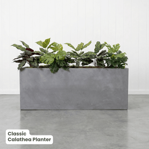 Classic Planter Bundles