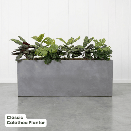 Classic Planter Bundles | Evergreen Walls