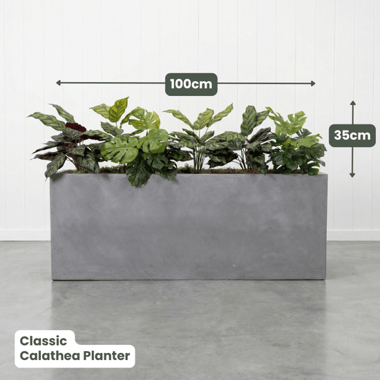 Classic Planter Bundles | Evergreen Walls