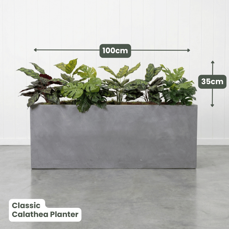 Classic Planter Bundles | Evergreen Walls