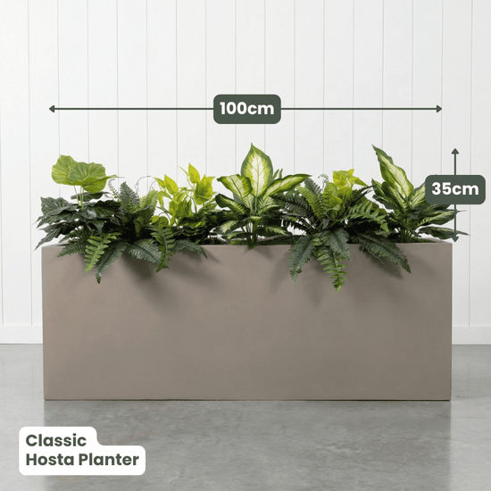 Classic Planter Bundles | Evergreen Walls