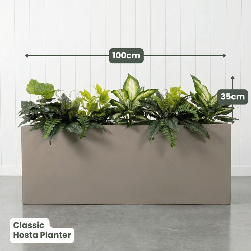 Classic Planter Bundles | Evergreen Walls