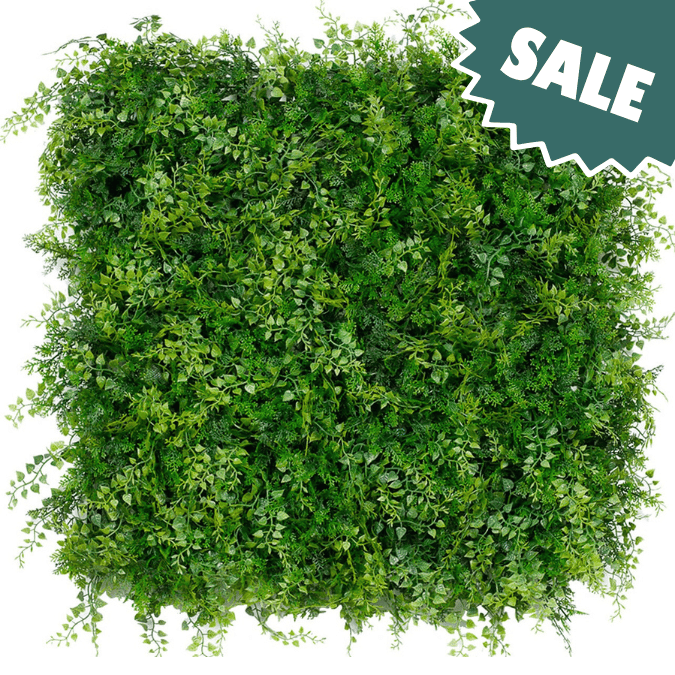 Classic Ferns Sale