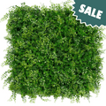 Classic Ferns Sale