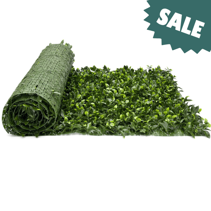 Classic Gardenia Roll Sale