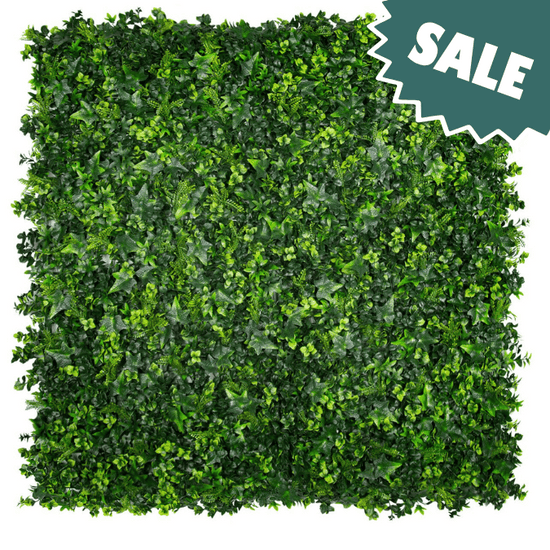 Classic Ivy Sale