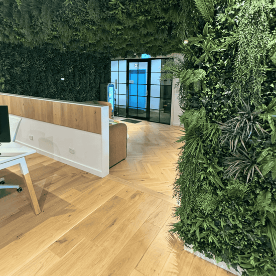 Coastal Crimson | Evergreen Walls