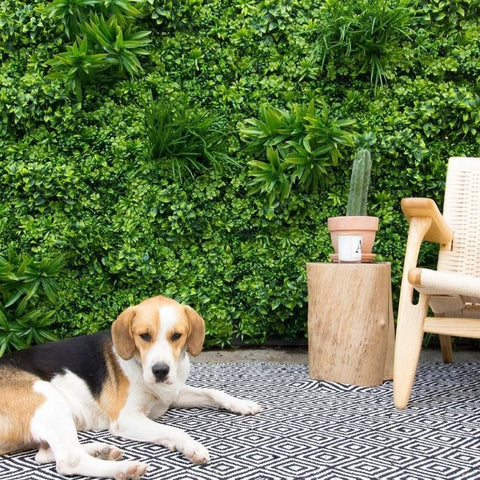 Complete Guide to Artificial Green Walls