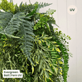 Evergreen Hanging Greenery Ball | Evergreen Walls